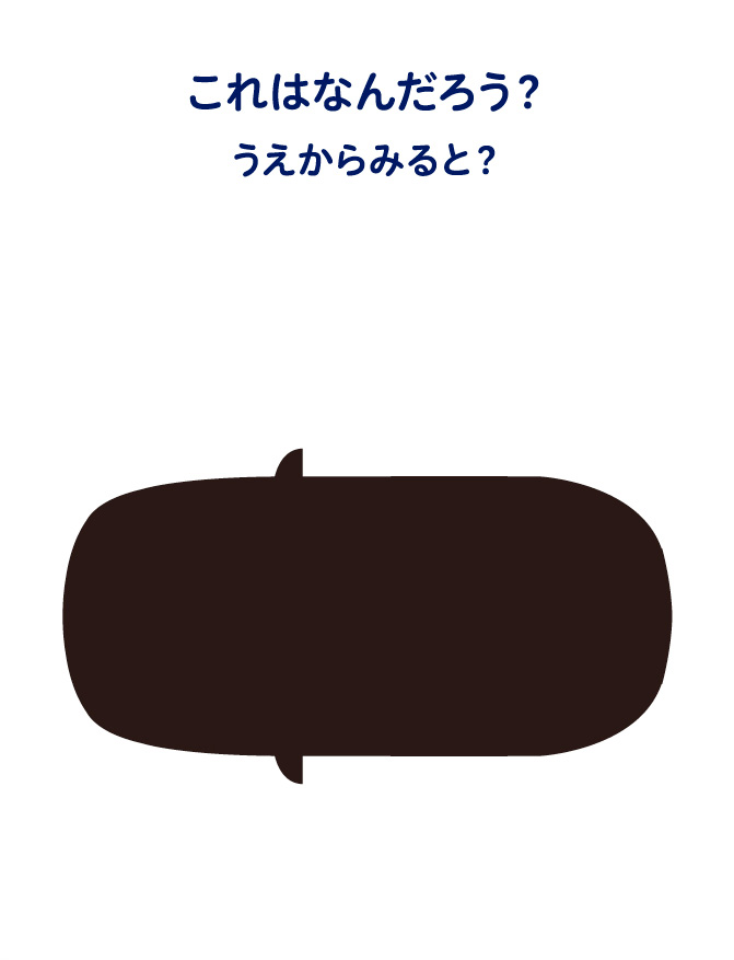 これはなんだろう？うえからみると？