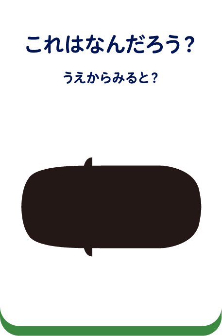 これはなんだろう？うえからみると？