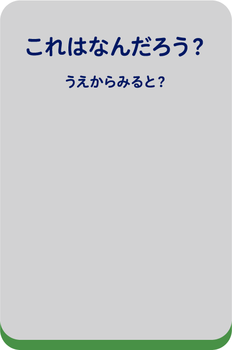 これはなんだろう？うえからみると？