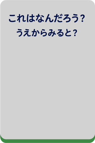 これはなんだろう？うえからみると？